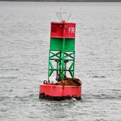 Allen Marine Tours