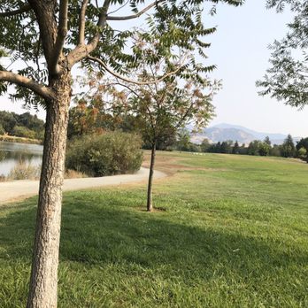 Newhall Community Park - View - Dog Parks Near Me - Concord, California