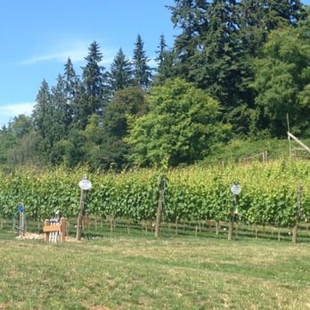 Dancing Fish Vineyards - Their new little vineyard - Venues & Event Spaces Near Me - Freeland, Washington Dancing Fish Vineyards - Their new little vineyard - Venues & Event Spaces Near Me - Freeland, Washington