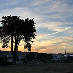 Great Meadow Park at Fort Mason