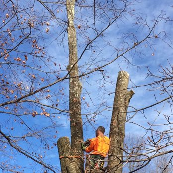 Lodema Tree Service - Tree trimming and pruning in NJ - Tree Services Near Me - Sussex, New Jersey Lodema Tree Service - Tree trimming and pruning in NJ - Tree Services Near Me - Sussex, New Jersey