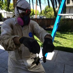 Rat Issues - Rodent proofing and removal in crawlspace, removing rat debris and contaminated materials to help restore a clean and safe space!