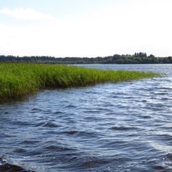 Lake of Menteith
