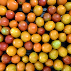 Greenacres Foundation - Delicious summertime produce is in season!