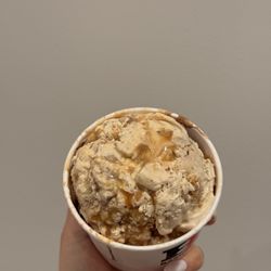 Baskin-Robbins - Twix + Cookies and Cream