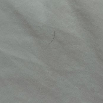 SpringHill Suites by Marriott Morgantown - Hair on the pillows. - Hotels Near Me - Morgantown, West Virginia SpringHill Suites by Marriott Morgantown - Hair on the pillows. - Hotels Near Me - Morgantown, West Virginia