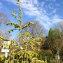 Photo of Bayberry Gardens