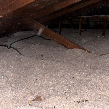 Tru Roofing - Before: Agh, rat droppings - Roofing Near Me Tru Roofing - Before: Agh, rat droppings - Roofing Near Me