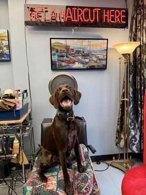 Harper's Hair Studio