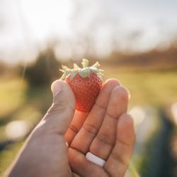 G Ranch/31 Produce