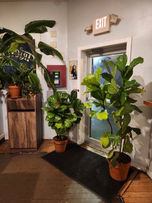 Tricycle Ice Cream by null