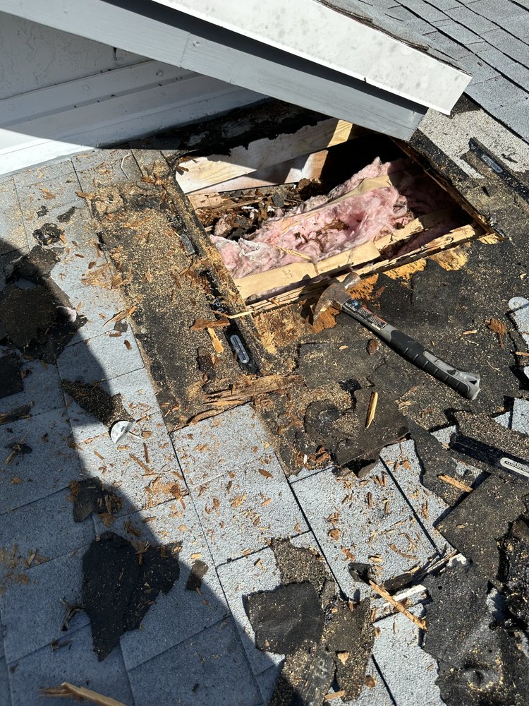 Slide of Tomas Roofer