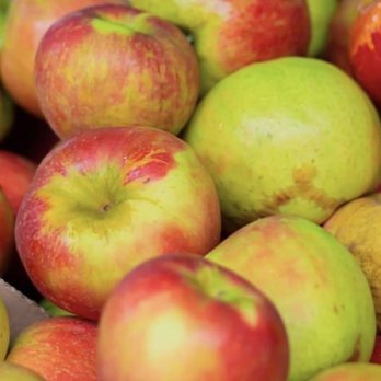 Eddy's Fruit Farm - Best apples ever at Eddy's Fruit Farm. Picked daily. - Fruits & Veggies Near Me - Chesterland, Ohio