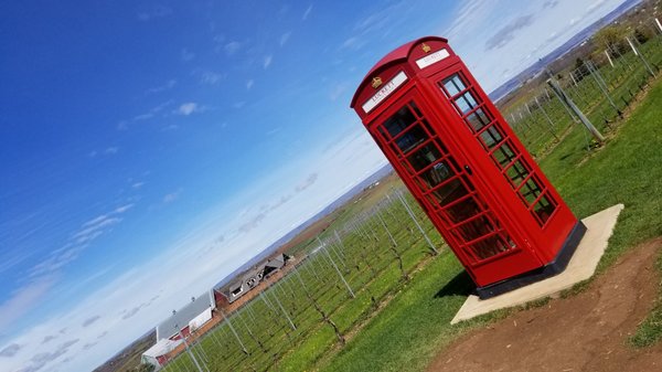 Luckett Vineyards by null