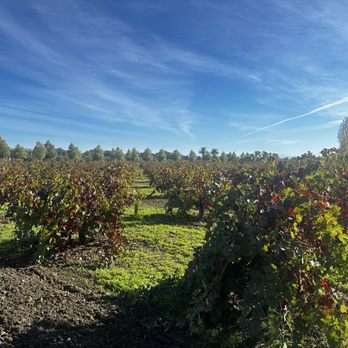 Caymus Suisun Winery - Wine Tasting Room Near Me - Fairfield, California