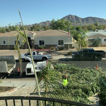 Twilight Tree and Landscape - Bye bye tree.... you'll be missed! - Landscaping Near Me - Glendale, Arizona