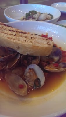 Current Fish and Oyster by null