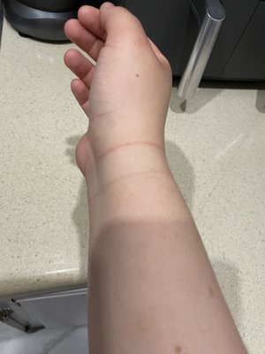 Woodland Hills on Ice by null