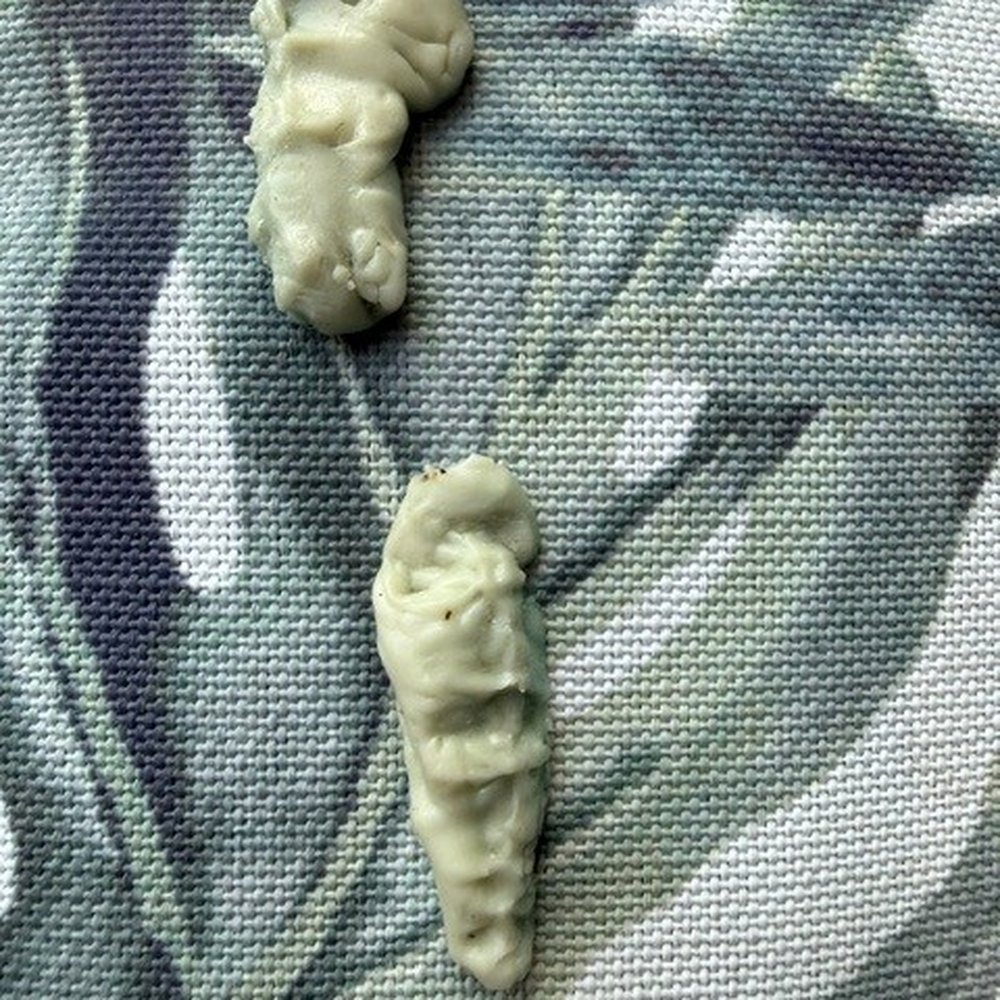 Concord Warwick - chewing gum that was chewed and stuck to the cushions - Apartments Near Me - Raleigh, North Carolina