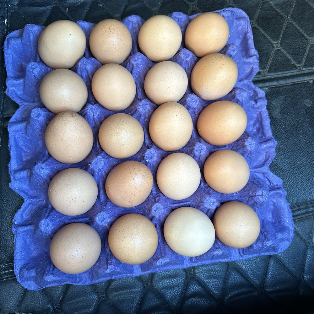 Jumbo eggs
