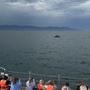 Photo of Vallarta Tours