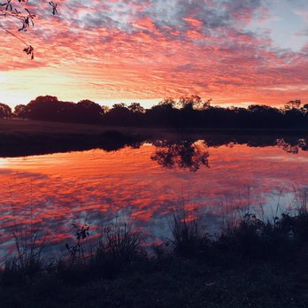 Basecamp Farms - Pick Your Own Farms Near Me - Navasota, Texas