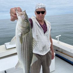 Wellfleet Charters - 28 inch Striper Bass