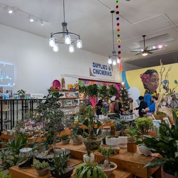 Plantiitas - So many plants - Home Decor Near Me - Long Beach, California Plantiitas - So many plants - Home Decor Near Me - Long Beach, California