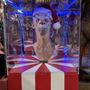 The Oddities Museum