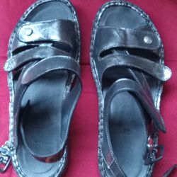 Peltz Shoes