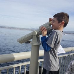 PlaySteps for Developing Kids - We are finally able to pieces of my son's challenges together.