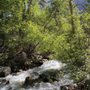 Photo of PINE CREEK PACK STATION