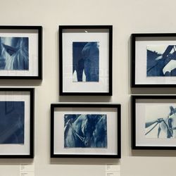 Art Intersection - Cyanotypes