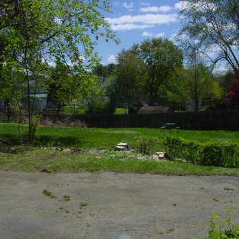 Dillon Tree Service - my driveway and garden are sure not in shade anymore - Tree Services Near Me - Shrewsbury, Massachusetts