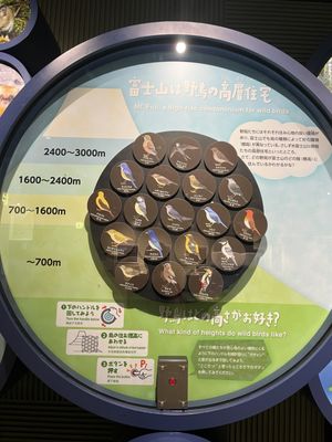 Fujisan World Heritage Center by null