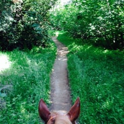 Shadow Glen Family Stables - The best way to get a view of the world - between a horse's ears!