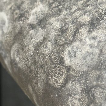 DRFT Remediation - Microbial Growth - Damage Restoration Near Me DRFT Remediation - Microbial Growth - Damage Restoration Near Me