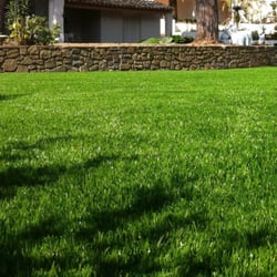 Turf Designs
