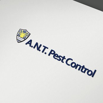 ANT Pest Control - Local Pest Control Services - Pest Control Near Me - New Lenox, Illinois ANT Pest Control - Local Pest Control Services - Pest Control Near Me - New Lenox, Illinois