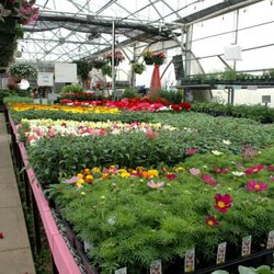Farmers Market, Nursery, Landscaping, & Garden Center
Coldwater, MI