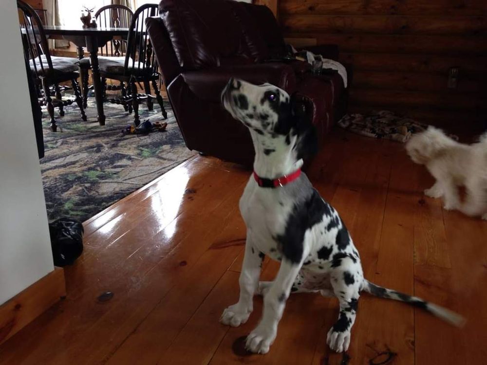 Slide of Northern Handyman Services