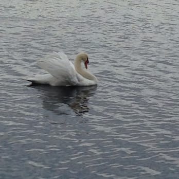Lake Eola Park - Parks Near Me - Orlando, Florida