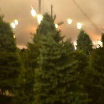 Valley View Christmas Trees - Fireworks Near Me - Gilbert, Arizona Valley View Christmas Trees - Fireworks Near Me - Gilbert, Arizona