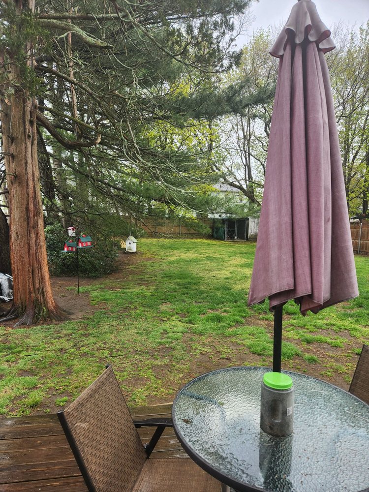 Gonzalez Landscaping - tree service in Providence, RI