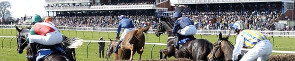 Ayr Racecourse by null
