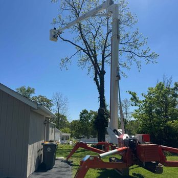 JR Ellington Tree Experts - Tree Services Near Me - Bloomington, Indiana JR Ellington Tree Experts - Tree Services Near Me - Bloomington, Indiana