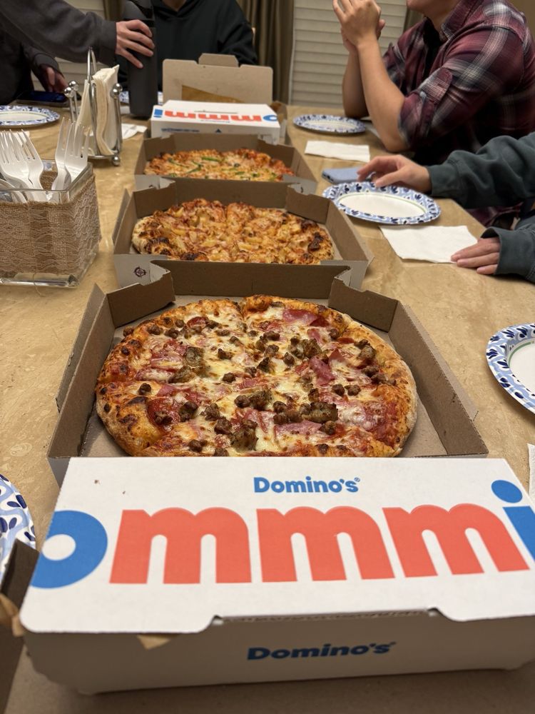 Domino's Pizza Logo