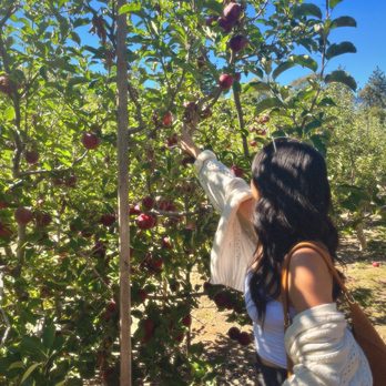 Rileys At Los Rios Rancho - Fruits & Veggies Near Me - Oak Glen, California