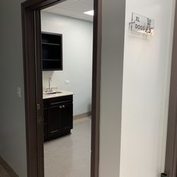 Paws and Feathers Emergency Hospital