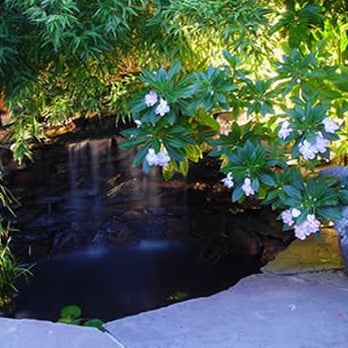 Atlas Landscapes - Landscaping Near Me - Mill Valley, California